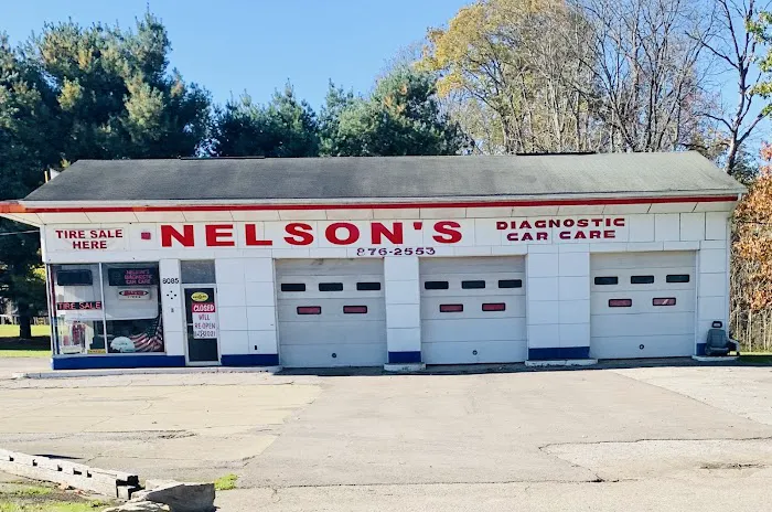 Nelson's Diagnostic Car Care 1