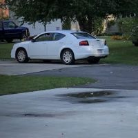 Paltech Micropolishing LLC