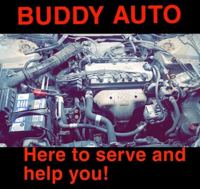 Buddy Auto 9