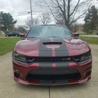 Luxury Window Films