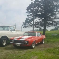 Matt's Auto Repair ico