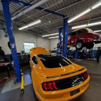higher standards automotive performance
