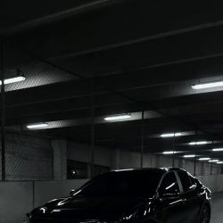 Incognito Tint Services ico