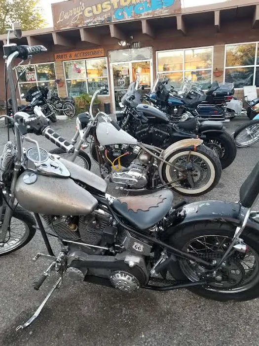 Larry's Custom Cycle 8
