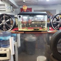 New Mexico Tires