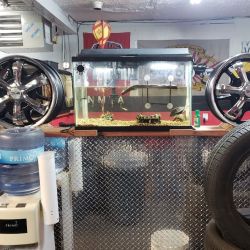 New Mexico Tires ico