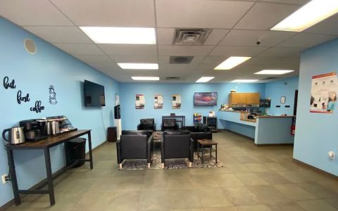 Lomas Glass And Tint