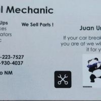 Panda's automotive