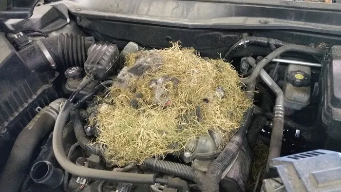 American Auto Repair 0
