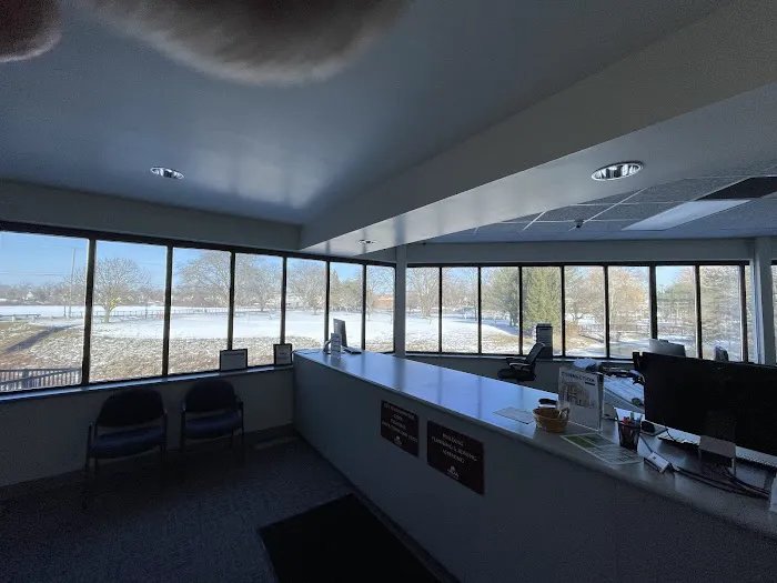 Allied Window Tinting and Shades 2