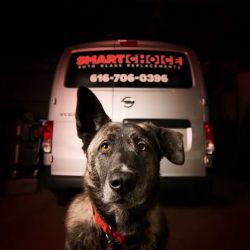 Smart Choice Auto Glass Replacement ico