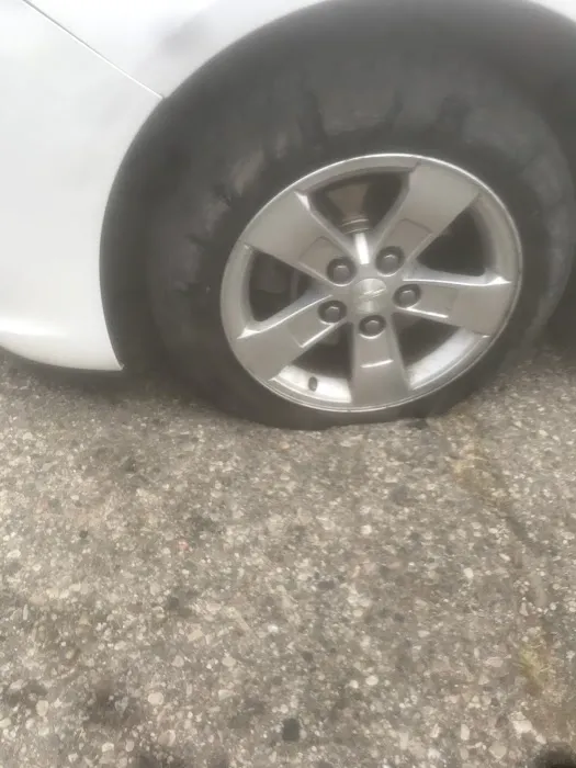 Kals Tires 6