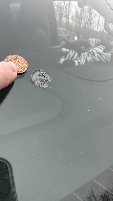 59 Auto Glass LLC 6