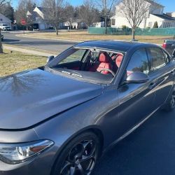 Skyview Auto Glass Novi ico
