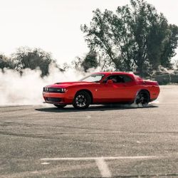 Barry's Auto Tech, Inc. ico