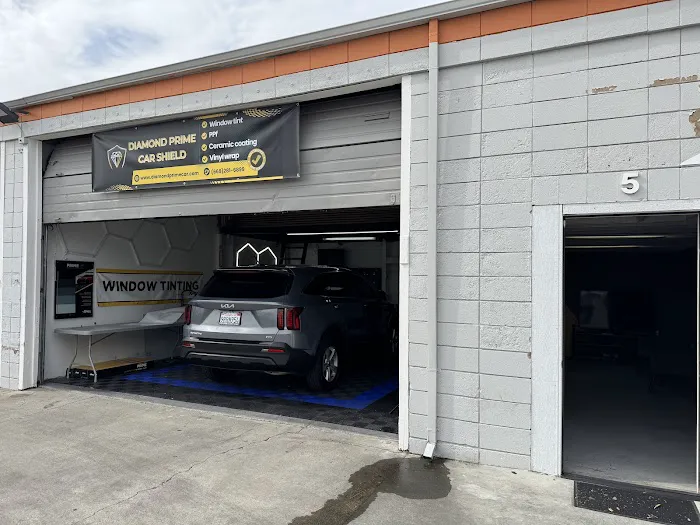 Diamond Prime Car Shield 8