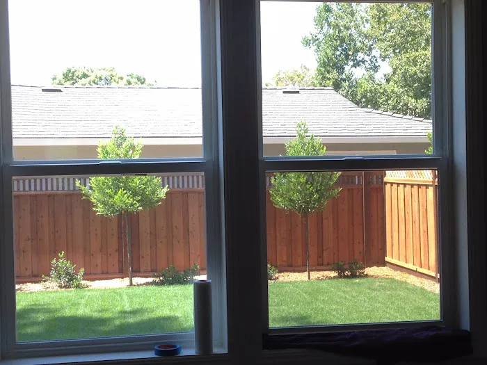 Sun Protective Film 8