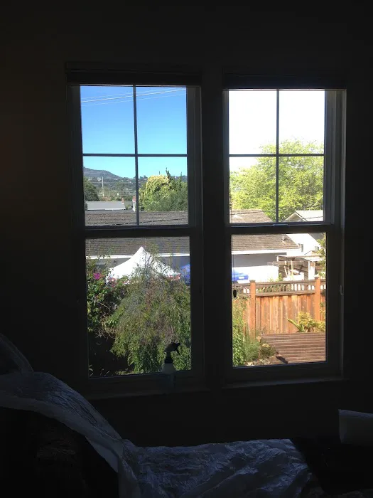 Sun Protective Film 9