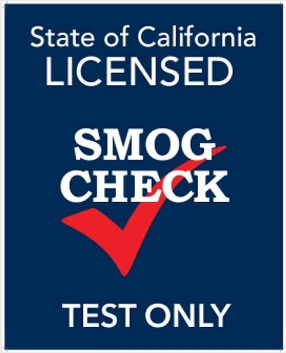 Shark City Smog Check 0