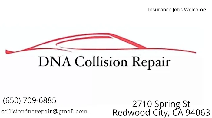 DNA Collision Repair 1