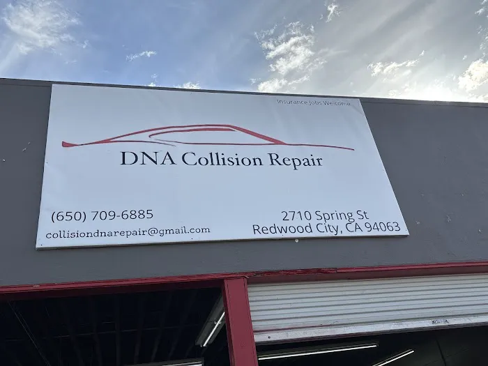 DNA Collision Repair 0