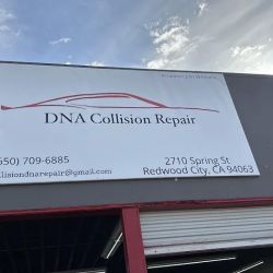 DNA Collision Repair ico