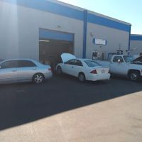 MS Auto Gears