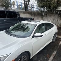 Phat Tint Shop