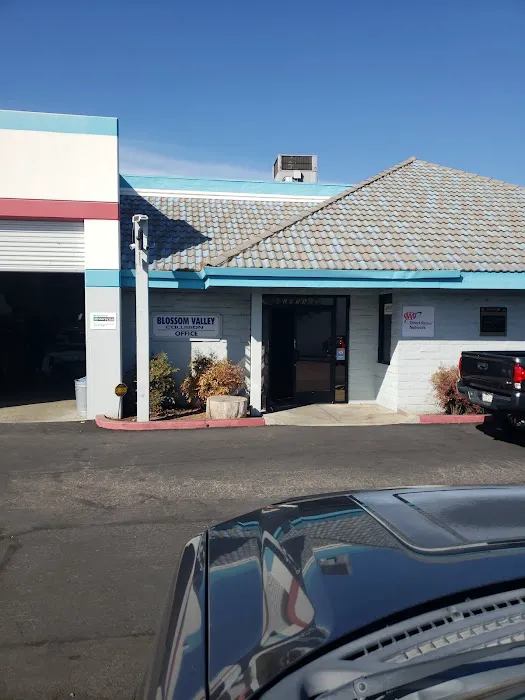 Blossom Valley Collision 3