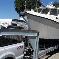 Alliance Automotive