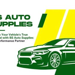 BS Auto Supplies ico