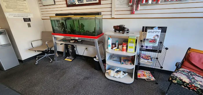 Dando's Automotive 6