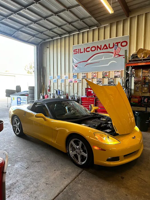Silicon Auto 3