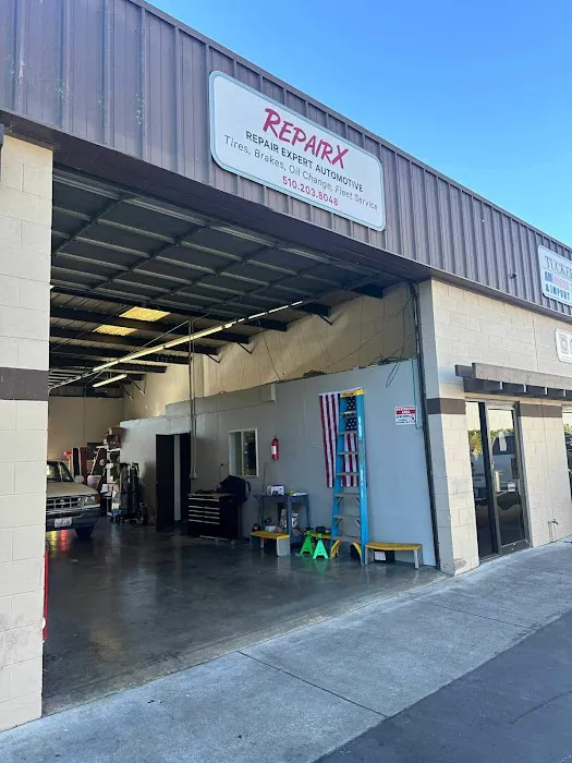 Repair Expert Automotive -RepairX 0