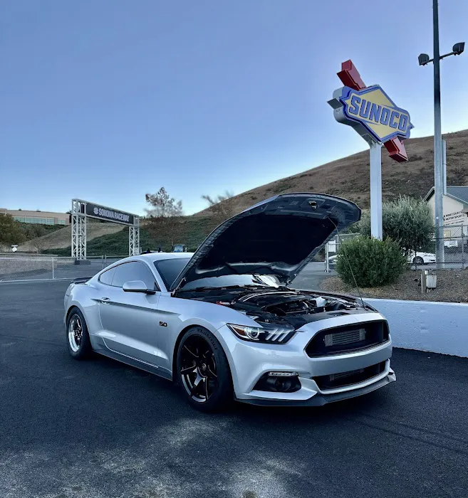Mustang Specialty 1
