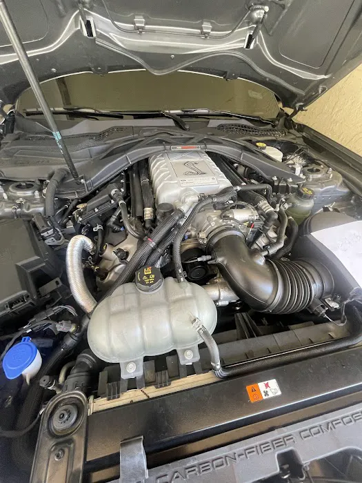 Mustang Specialty 0