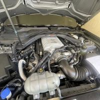 Mustang Specialty