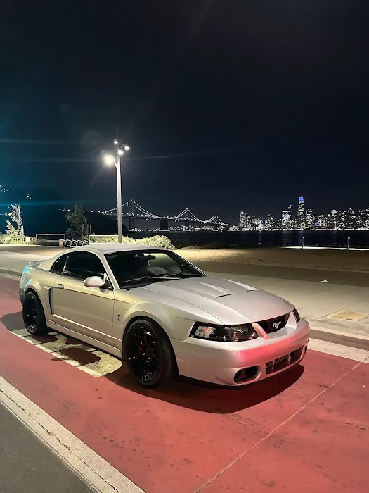 Mustang Specialty 3