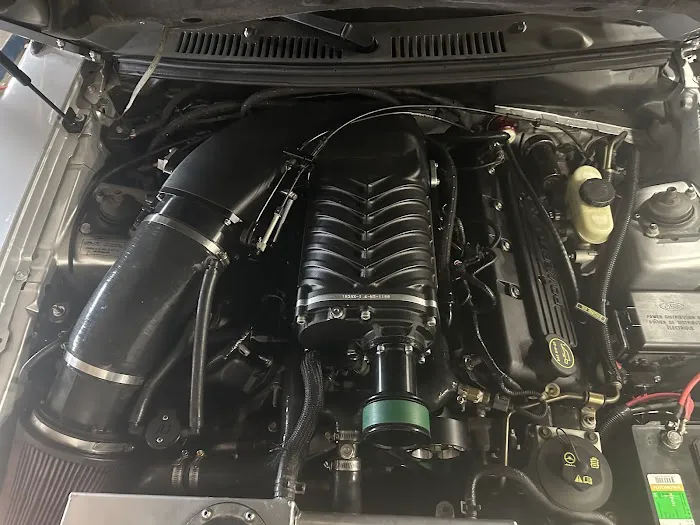 Mustang Specialty 7