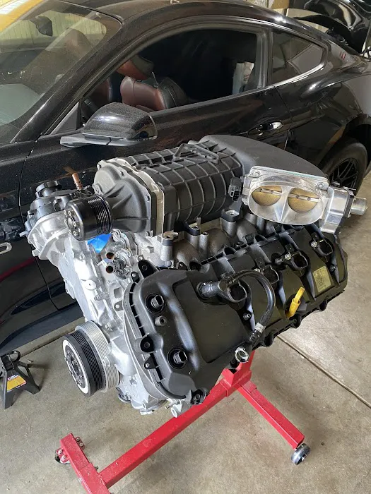 Mustang Specialty 8