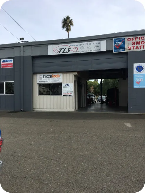 TLS Automotive Electrical 2