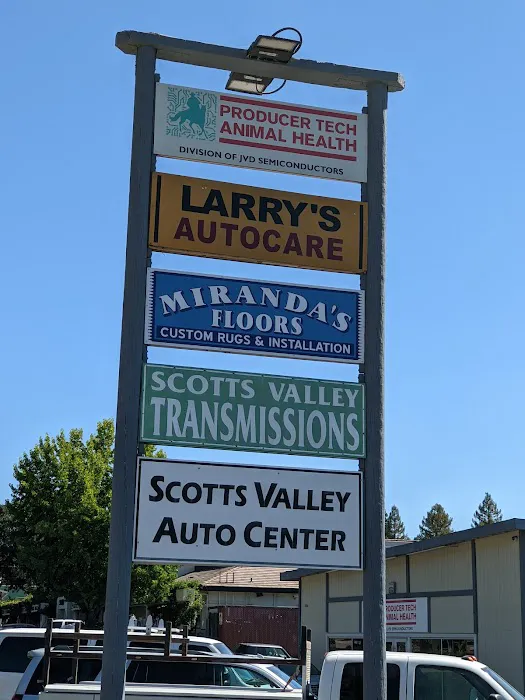 Larry's Auto Care 3