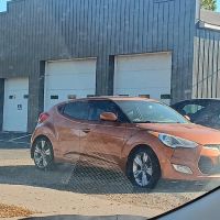 Ace Auto Inc