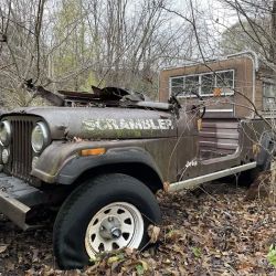 Ray's Salvage & Repair auto wrckng ico