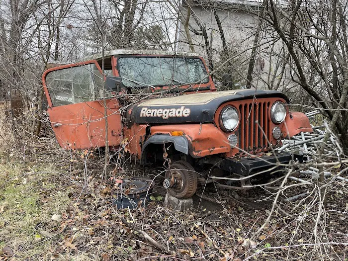 Ray's Salvage & Repair auto wrckng 1
