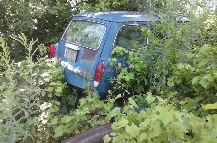 Ray's Salvage & Repair auto wrckng 2