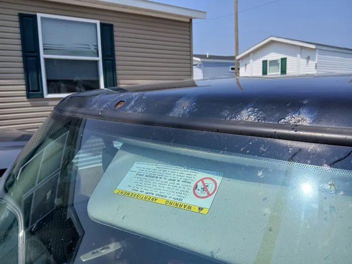 Windy's Collision Center 0