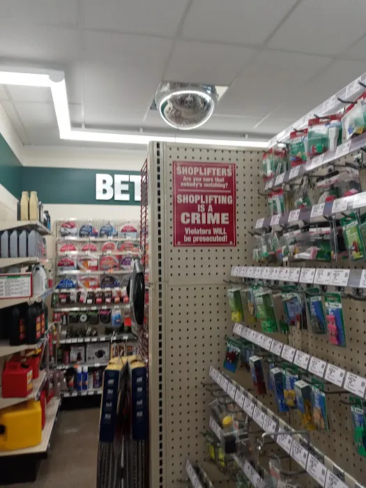 O'Reilly Auto Parts 5