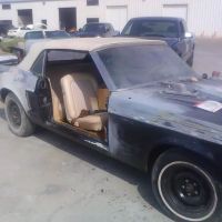 Johnny's custom paint
