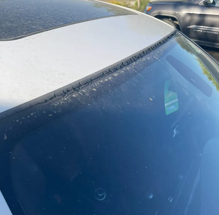 Specialty Auto Glass 5